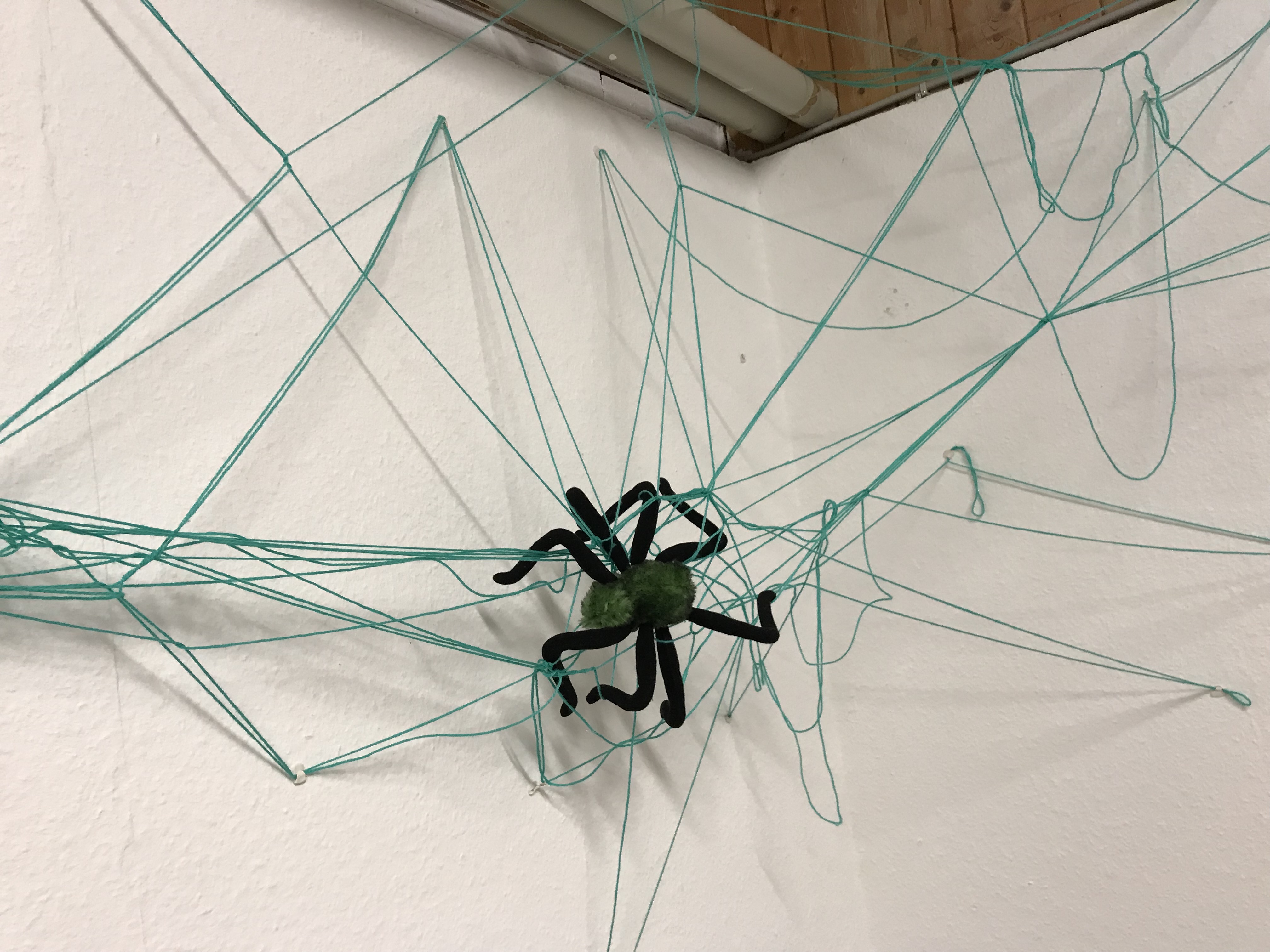 Spinnen-Projektblog-post